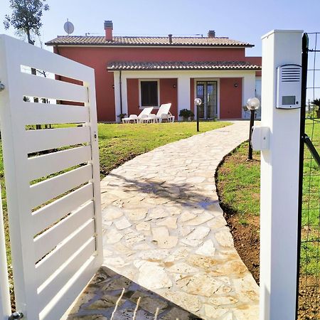 Villetta Fedora Immersa Nel Verde Cecina  Ngoại thất bức ảnh