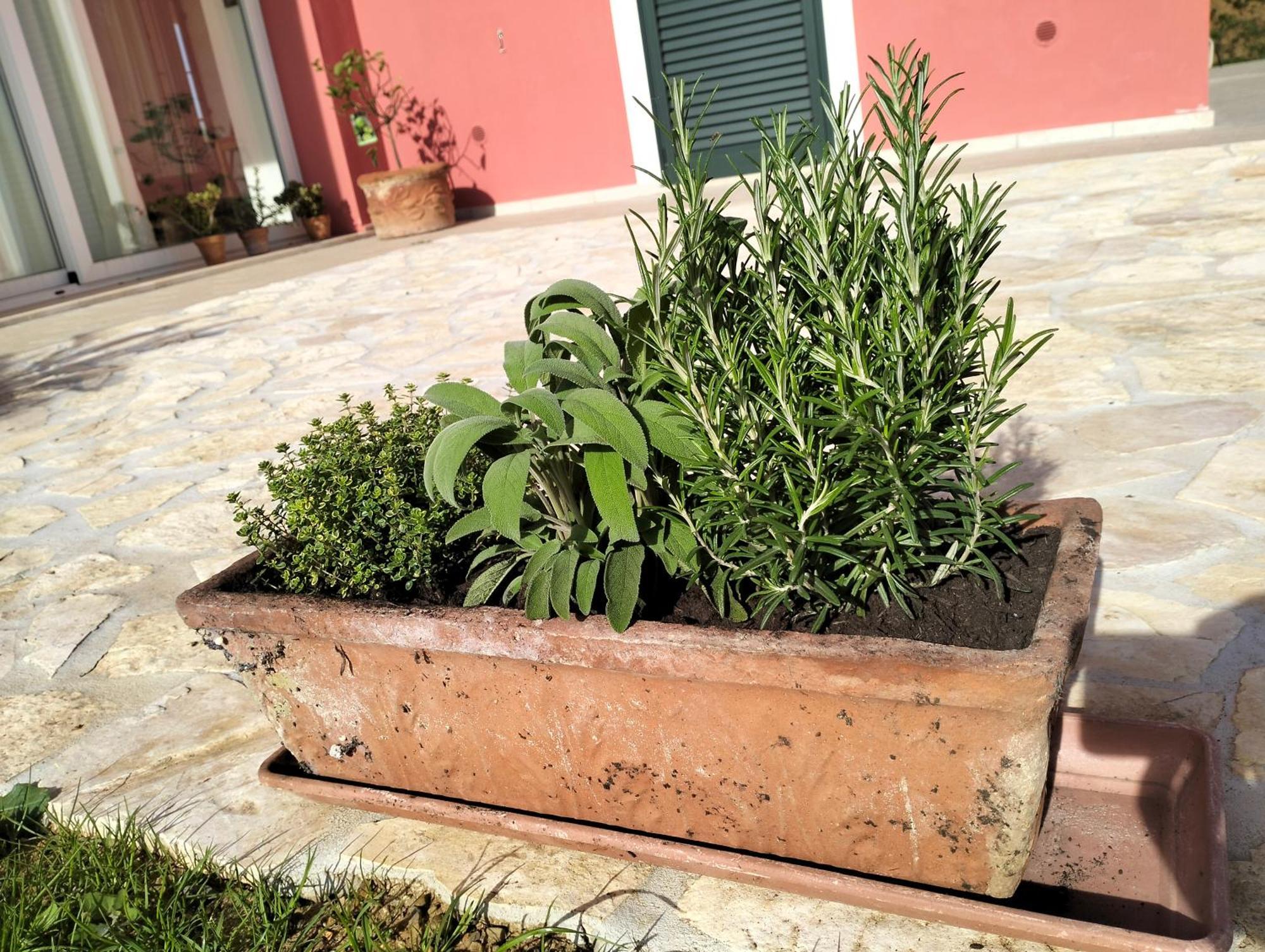Villetta Fedora Immersa Nel Verde Cecina  Ngoại thất bức ảnh