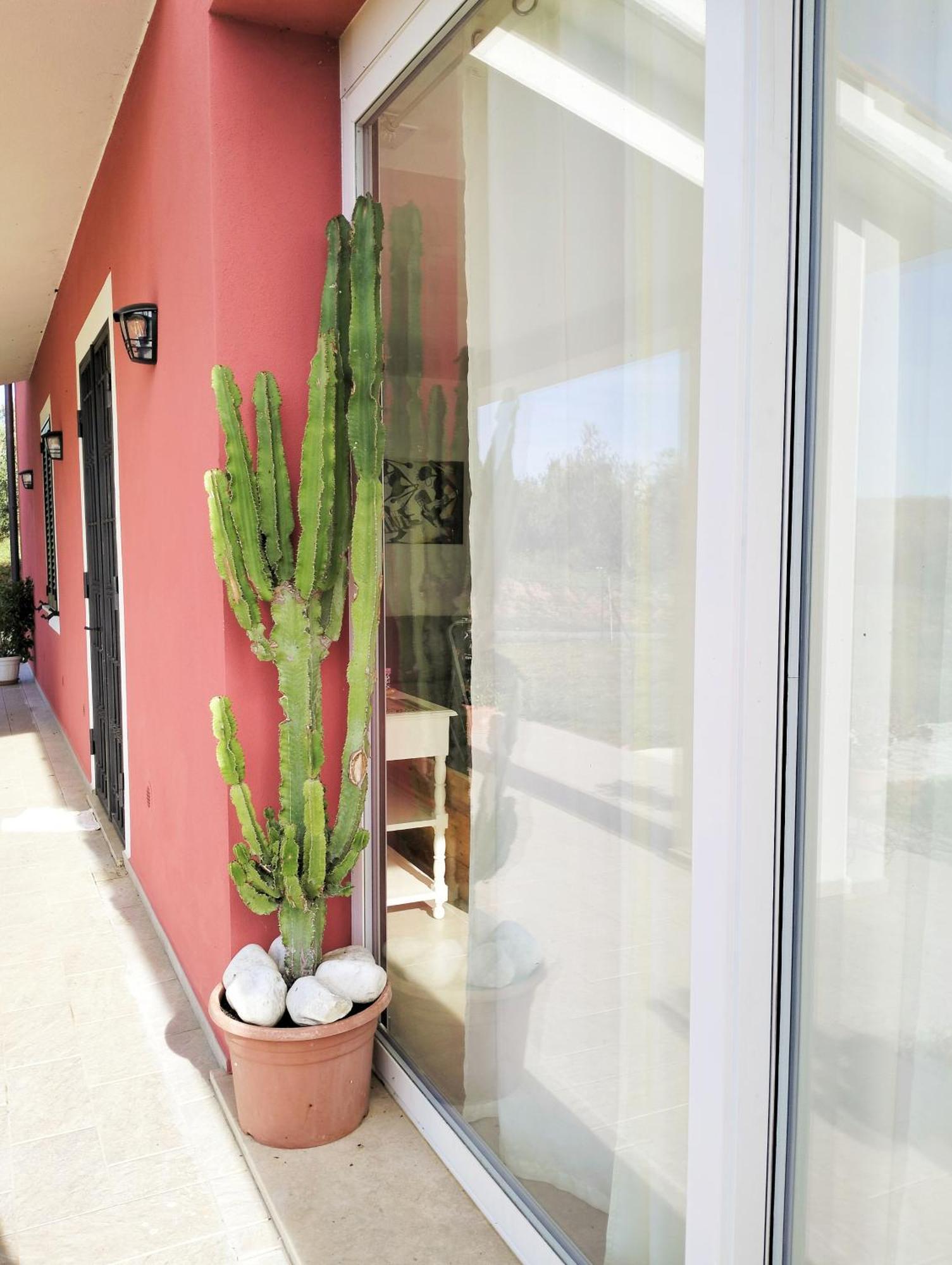Villetta Fedora Immersa Nel Verde Cecina  Ngoại thất bức ảnh
